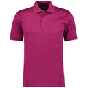 Ragman polo mezza manica taglie forti uomo colore gelso 540391/480
