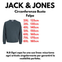 Jack & Jones felpa felpata girocollo taglie forti uomo colore grigio 12299762