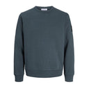 Jack & Jones felpa felpata girocollo taglie forti uomo colore grigio 12299762