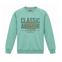 Redfield felpa girocollo garzato di cotone taglie forti uomo colore verde acqua RF-22611402-881