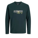 Jack & Jones maglia girocollo manica lunga taglie forti uomo colore verde 12299622